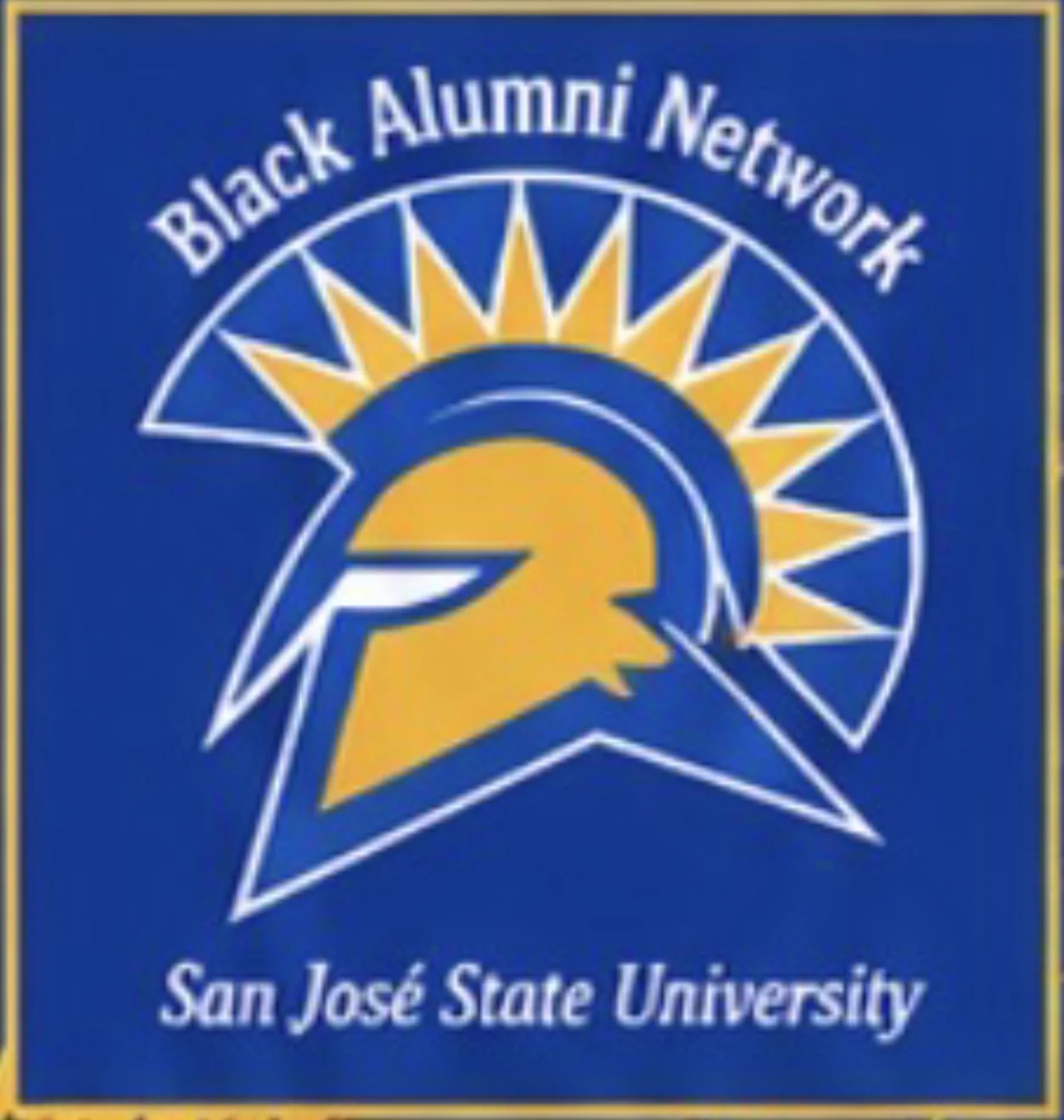 Black Alumni Network BFW sponsor logo
